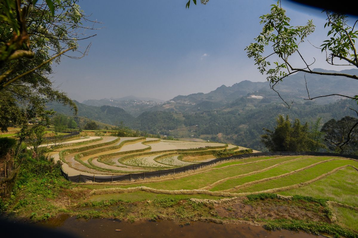 Beautiful Landscape of Sapa
